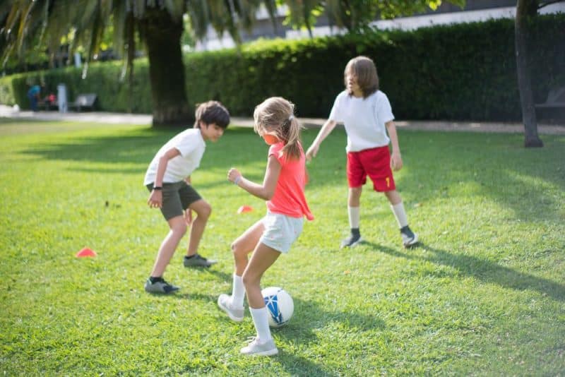 alimentación adecuada
